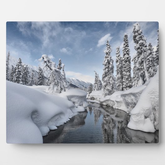 Winter Wonderland Fotoplaat (Voorkant)