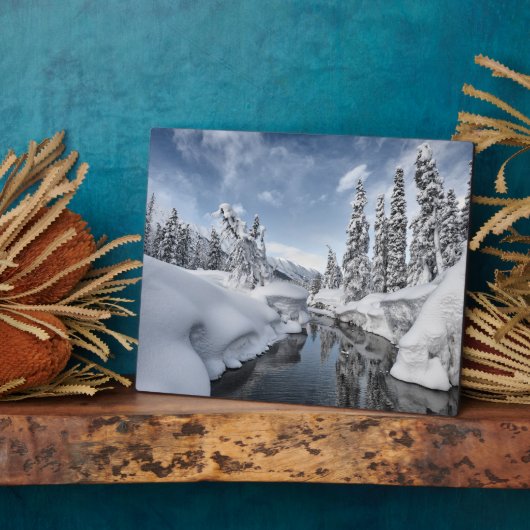 Winter Wonderland Fotoplaat (Zijkant)