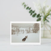 Winter wonderland Holiday Briefkaart (Staand voorkant)