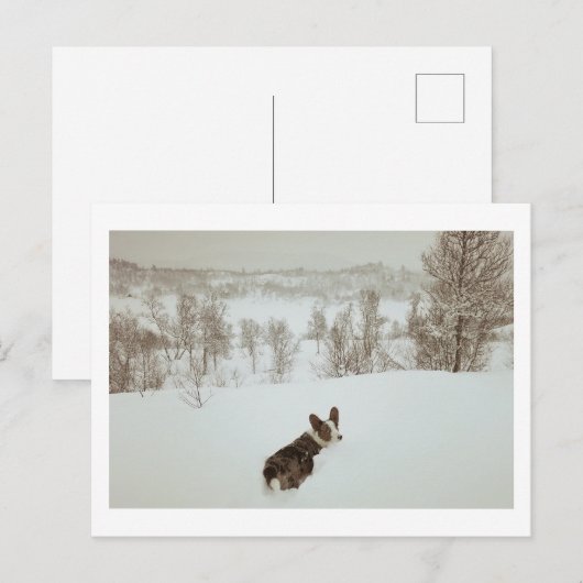 Winter wonderland Holiday Briefkaart (Voorkant / Achterkant)