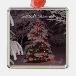 Winter Wonderland Holiday Tree Lights Metalen Ornament