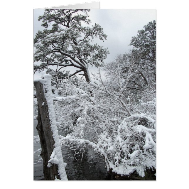 Winter Wonderland II (Voorkant)