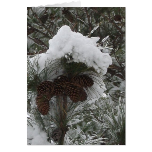 Winter Wonderland III (Voorkant)