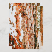 Winter Wonderland in Bend - Oregon Feestdagenkaart (Voorkant / Achterkant)