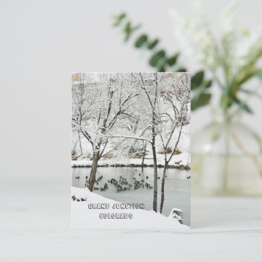 Winter Wonderland in Duck Pond Park Briefkaart (Staand voorkant)