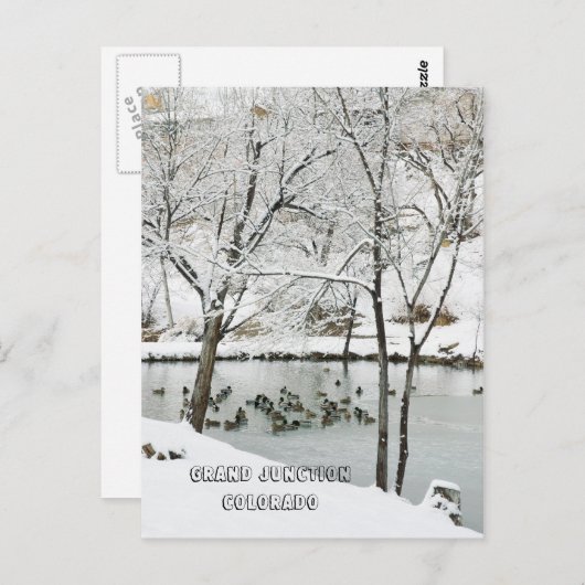 Winter Wonderland in Duck Pond Park Briefkaart (Voorkant / Achterkant)