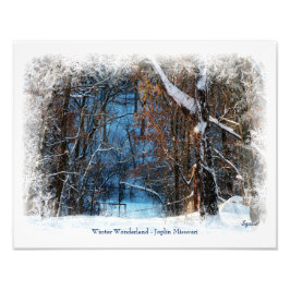 Winter Wonderland in Joplin Missouri Foto Print Foto Afdruk