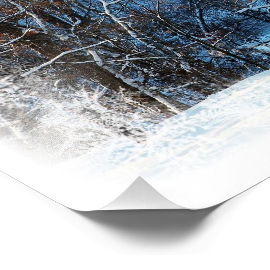 Winter Wonderland in Joplin Missouri Foto Print Foto Afdruk (Hoek)