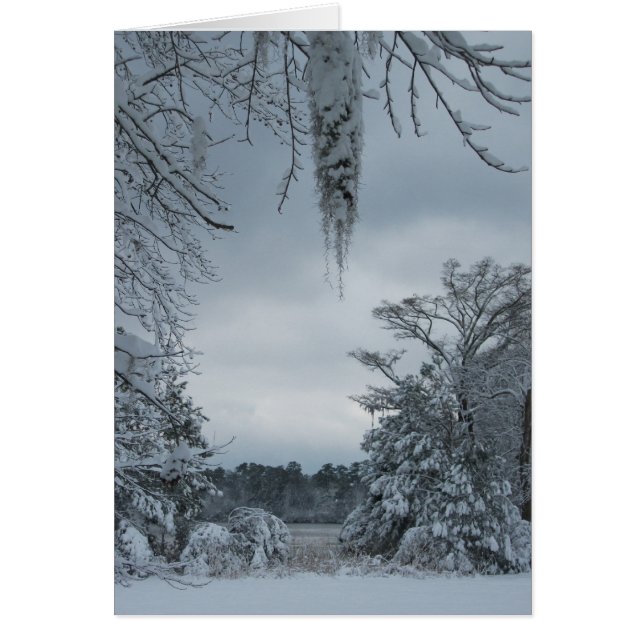 Winter Wonderland IV (Voorkant)