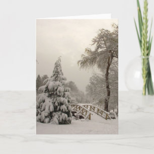 Winter Wonderland Kaarten Seasons Greetings Kaarte