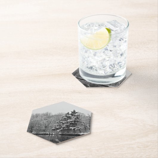 Winter Wonderland Kartonnen Onderzetters (Insitu)