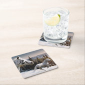 Winter Wonderland Kartonnen Onderzetters (Insitu)