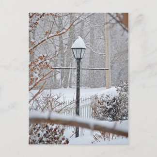 Winter Wonderland - Lamp Post Briefkaart