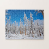 Winter Wonderland Legpuzzel (Horizontaal)