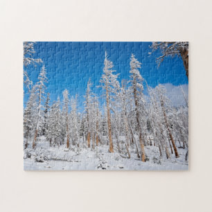 Winter Wonderland Legpuzzel
