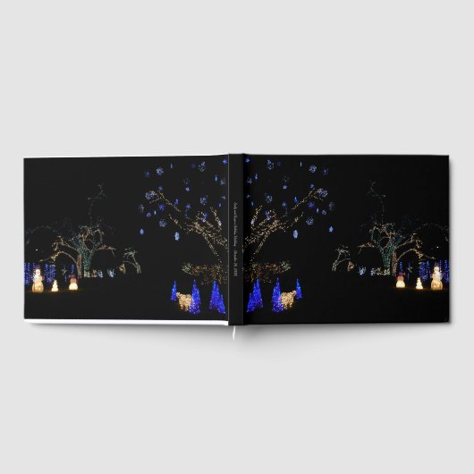 Winter Wonderland Lights Blue en White Holiday Gastenboek (Volledig)