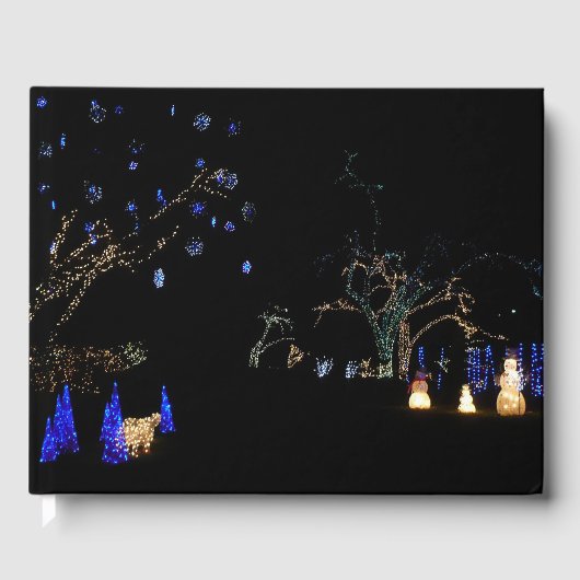 Winter Wonderland Lights Blue en White Holiday Gastenboek (Voorkant)