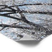 Winter Wonderland met Iced Trees Poster (Hoek)