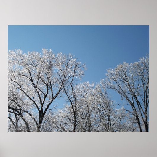 Winter Wonderland met Iced Trees Poster (Voorkant)