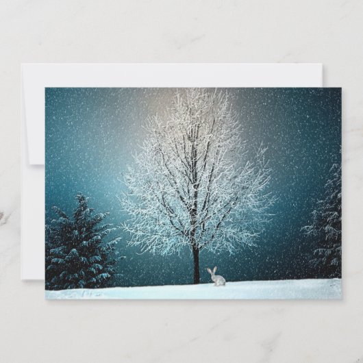 Winter Wonderland met konijn (Voorkant)