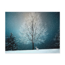 Winter Wonderland met konijn