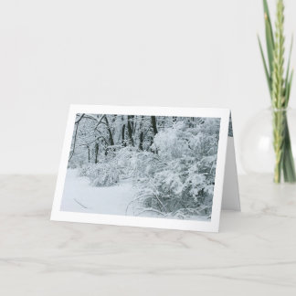 Winter Wonderland - met sneeuw bedekt gebladerte Feestdagen Kaart