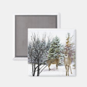 Winter Wonderland met Whitetail Deer Fridge Magneet (Voorkant / Achterkant)