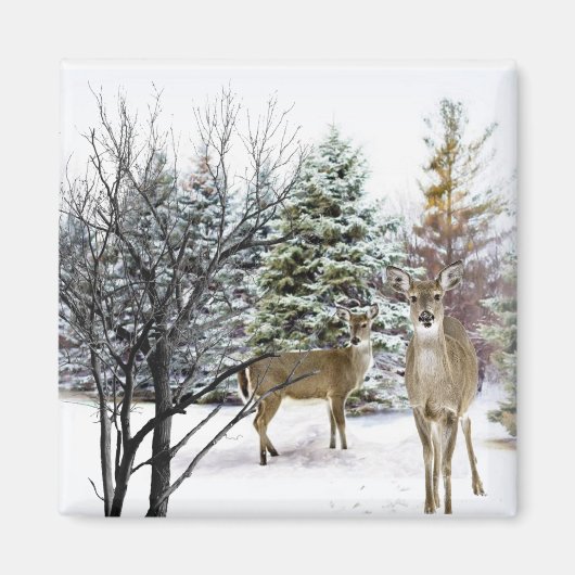 Winter Wonderland met Whitetail Deer Fridge Magneet (Voorkant)