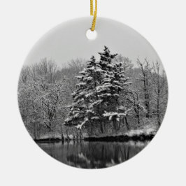 Winter Wonderland Ornament
