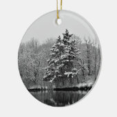 Winter Wonderland Ornament (Links)