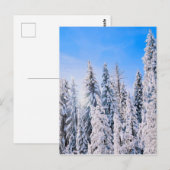 Winter Wonderland Pine Trees in sneeuw Briefkaart (Voorkant / Achterkant)