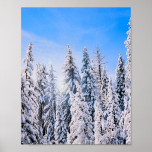 Winter Wonderland Pine Trees in sneeuw Poster