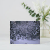 Winter Wonderland Post Card Briefkaart (Staand voorkant)