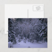 Winter Wonderland Post Card Briefkaart (Voorkant / Achterkant)