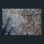 Winter wonderland poster<br><div class="desc">Frosted tree winter landscape</div>