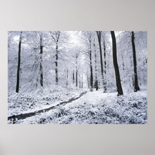 Winter Wonderland Poster (Voorkant)