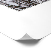 Winter Wonderland Poster (Hoek)