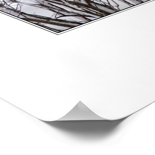 Winter Wonderland Poster (Hoek)