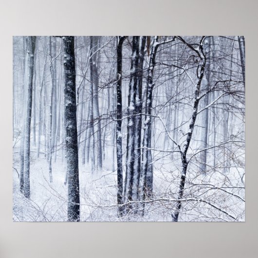 Winter Wonderland Poster (Voorkant)