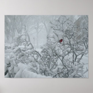 Winter Wonderland Poster