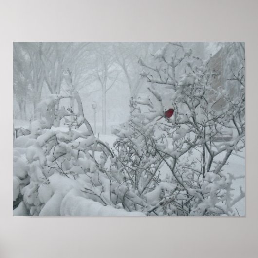 Winter Wonderland Poster (Voorkant)