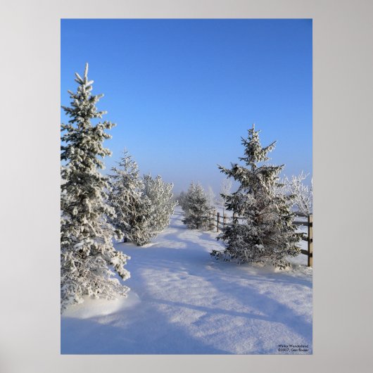 Winter Wonderland Poster (Voorkant)
