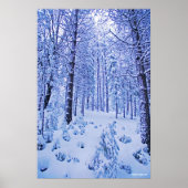 Winter Wonderland Poster (Voorkant)