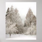 Winter Wonderland Poster Winter Vancouver Print (Voorkant)