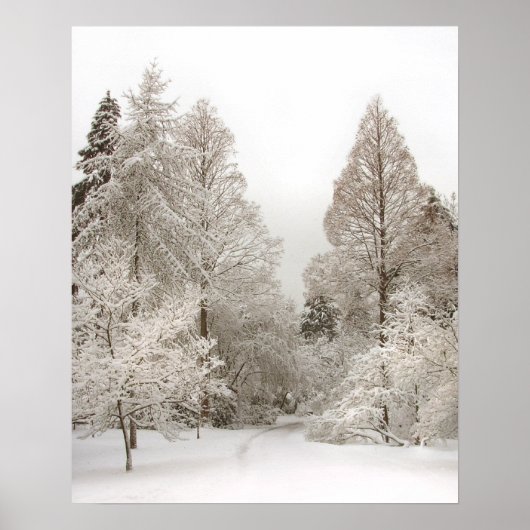 Winter Wonderland Poster Winter Vancouver Print (Voorkant)