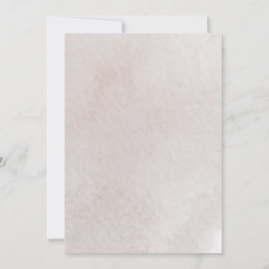 Winter Wonderland Quinceanera Silver Blush Kaart (Achterkant)