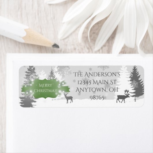 Winter Wonderland Return Address Labels - Green (Insitu)