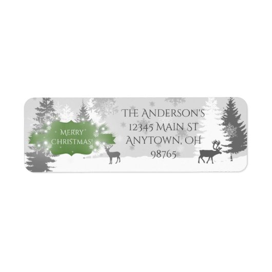 Winter Wonderland Return Address Labels - Green (Voorkant)