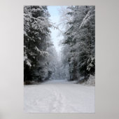 Winter Wonderland Road POSTER (Voorkant)