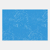 Winter Wonderland Rode Kardinaal Ornamenten Inpakpapier Vel (Voorkant 3)